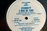 20e each dance house 90s and hard house 12" vinyl