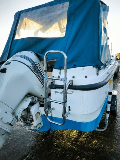 Boat Johnson 90 hp with trailer