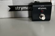 Strymon mini switch