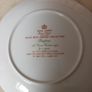 Royal  Albert - Man's Best Friend Collection  Plate - "Playtime" Image 5