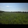 Round Bales Image 7