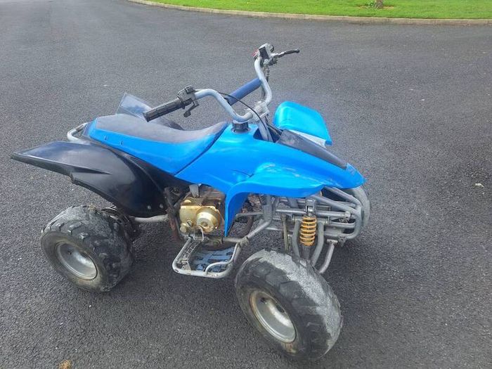 Kids 50cc Petrol Quad