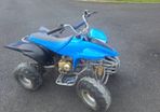 Kids 50cc Petrol Quad