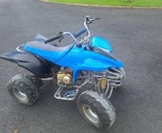 Kids 50cc Petrol Quad