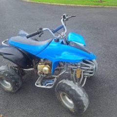 Kids 50cc Petrol Quad
