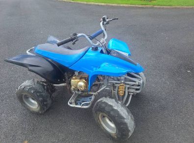 Kids 50cc Petrol Quad