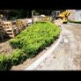 Box Hedging Image 6