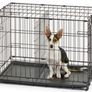 Foldable Dog Crate Medium Image 4