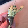 vintage star wars Sy Snootles Image 5