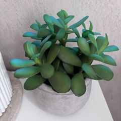 arificial plant with stone pot