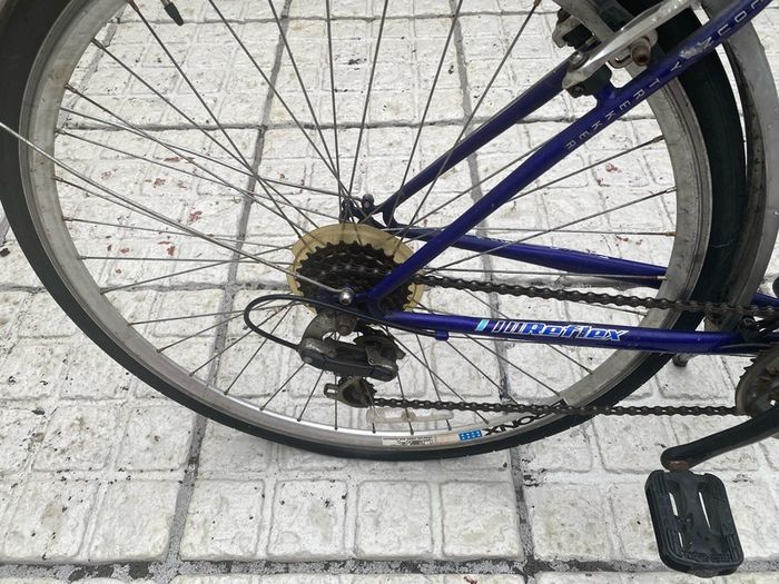 Womens bike