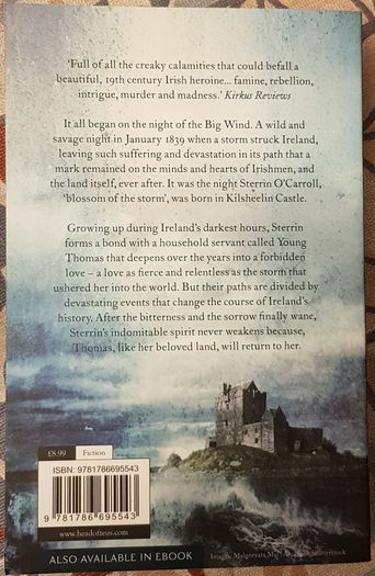 The Big Wind by Beatrice Coogan