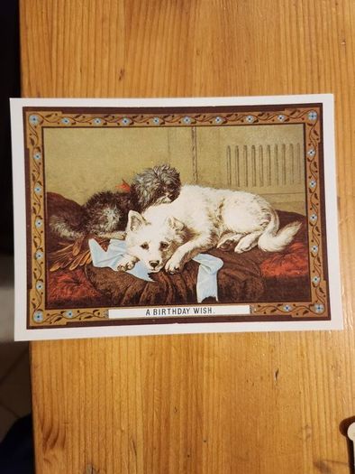 Beautiful Set Of 25 Reproduction  Vicorian Greeting Cards Of The Period 1860-1890 In Presentation Box. In Very Good Condition.