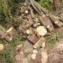 firewood Image 2