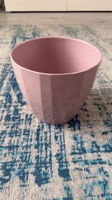 Pot Plant