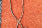 Vintage Tongs - Only 15