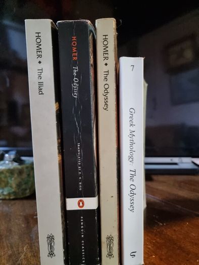 The Odyssey (three different translations) and The Iliad bundle