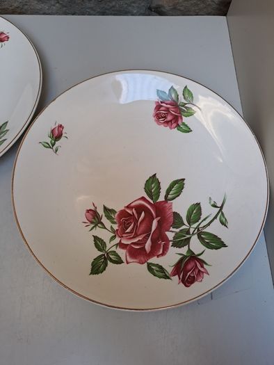 J and G Meakin rose Plates