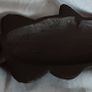 Cast metal fish bottle opener Image 3