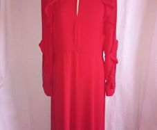 ladies dress