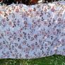 1 Curtain Image 7