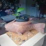 Large vintage hardwood koi carp planter Image 2