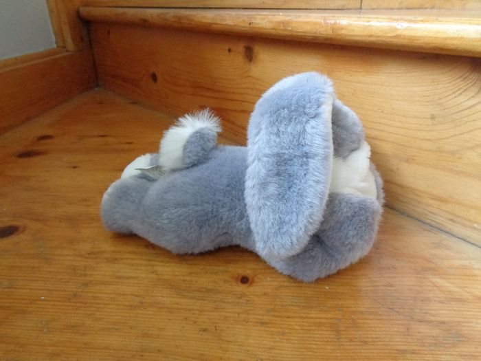 Cuddly Bunny Rabbit for Sale
