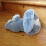 Cuddly Bunny Rabbit for Sale Image 2