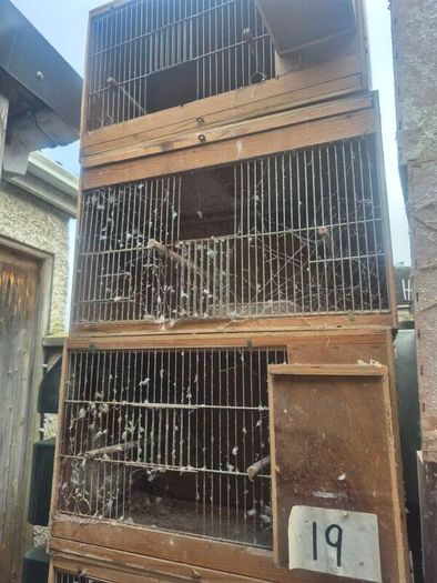 Single breeding cages