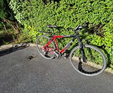 19" Bike