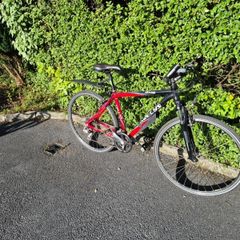 19" Bike