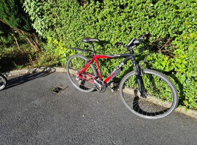19" Bike
