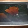 Apple iPad 1st Gen (A1219) 9.7" 32GB Image 7