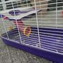 Hamster Cages Image 3