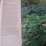 Organic Gardening/ Roy Lacey / 1988 Image 4
