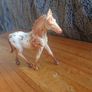 Horses Image 5