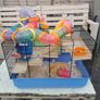 Hamster Cage Image 3