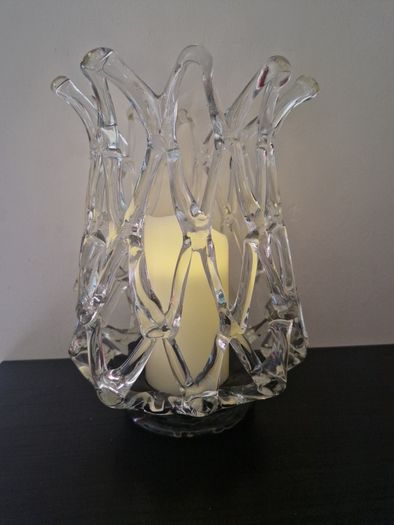 Elegantly Designed Glass Vase