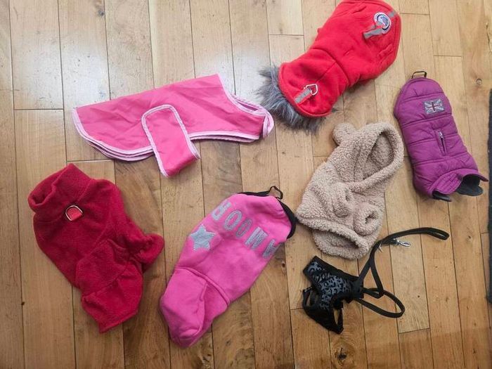 xsmall dogs clothing