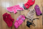 xsmall dogs clothing