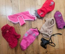 xsmall dogs clothing
