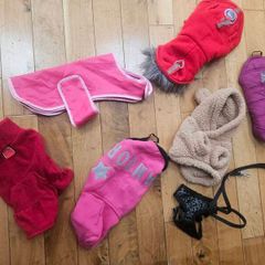 xsmall dogs clothing