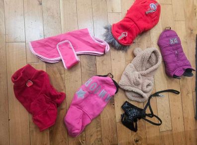 xsmall dogs clothing