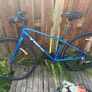 Trek Bicycle Image 4