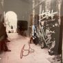U2 signed picture Image 2