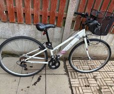 Female Bike
