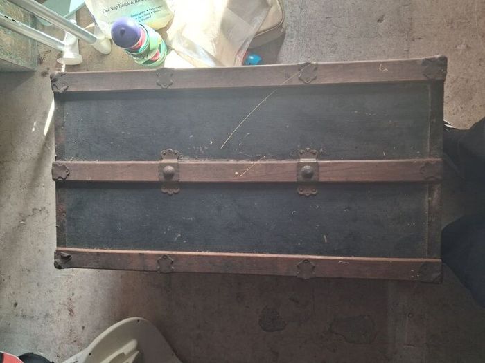 trunk
