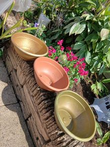 Plant Pots x 3
