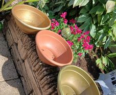Plant Pots x 3