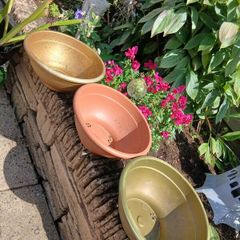 Plant Pots x 3